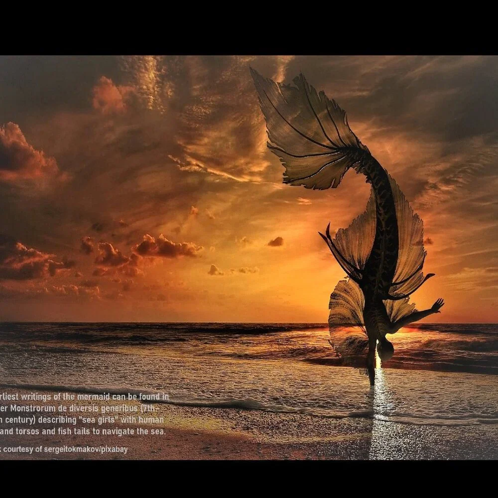 Mermaid Calendar 2027 Mermaid Pictures Mermaid Decor Mermaid Art
